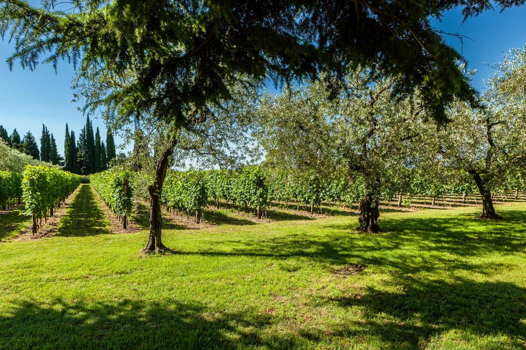 Quercia Belvedere Relais Bardolino Exterior foto